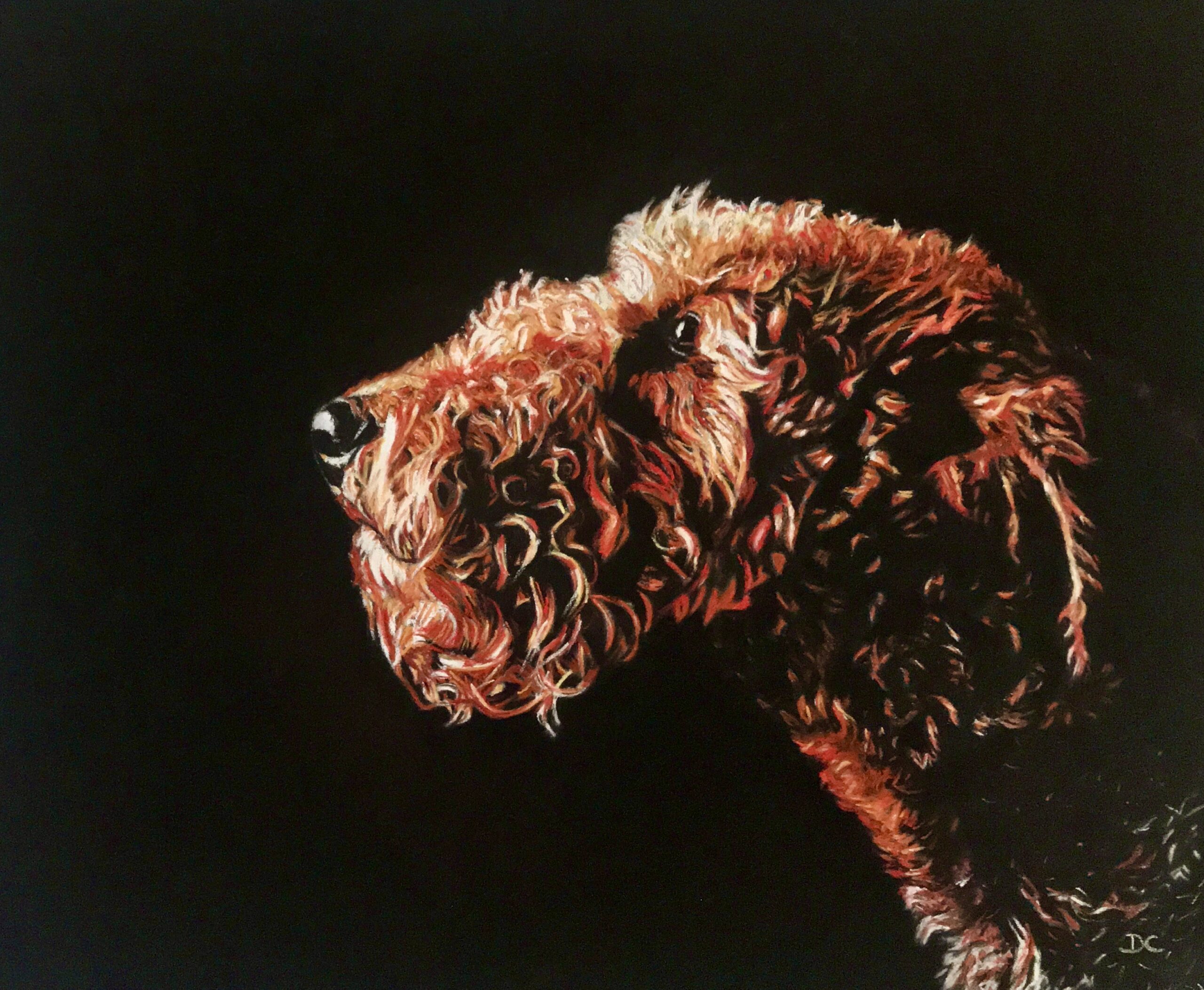 Airedale Terrier in Pastel